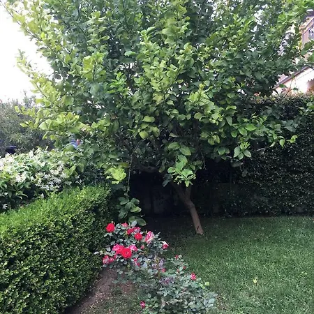 Appartamento Apartamento Limone Pizzo (Salento)